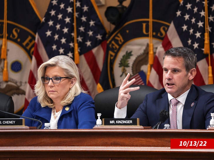 liz cheney and adam kinzinger getty 2