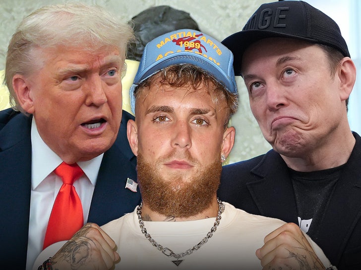 jake paul donald trump elon musk main getty