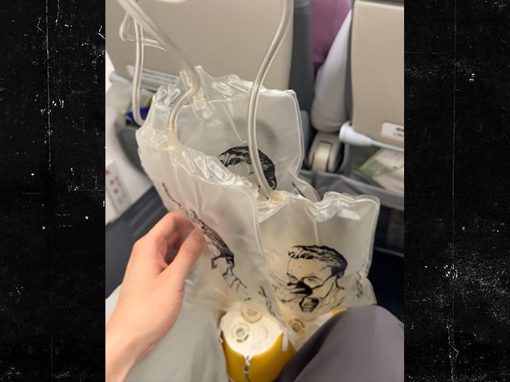 Japan Airlines