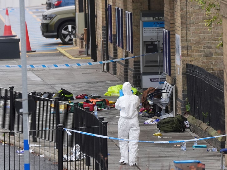 Anglie-vlak-bodnutí-getty-1