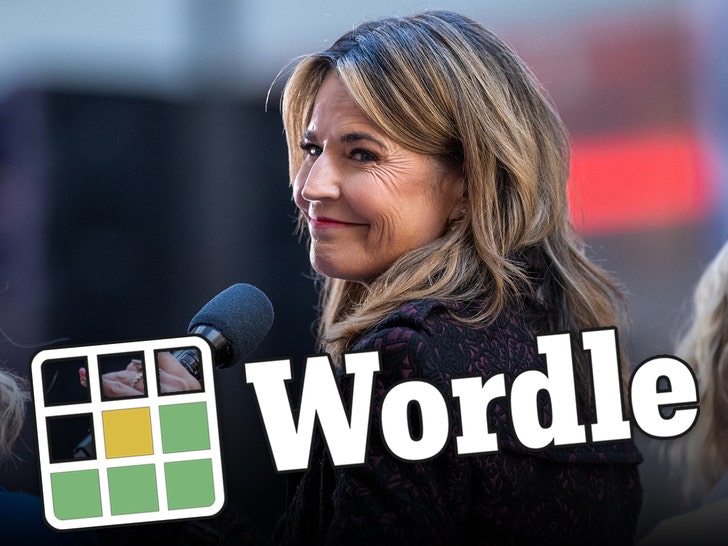 savannah guthrie wordle getty 1