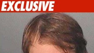 Lohan Suspect Has Drug Conviction