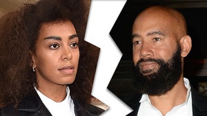 Solange Knowles Separates from Husband Alan Ferguson