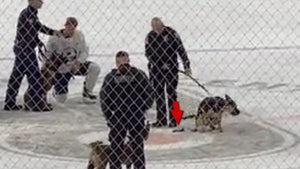 Police K-9 Craps All Over Philadelphia Flyers' Center-Ice Logo