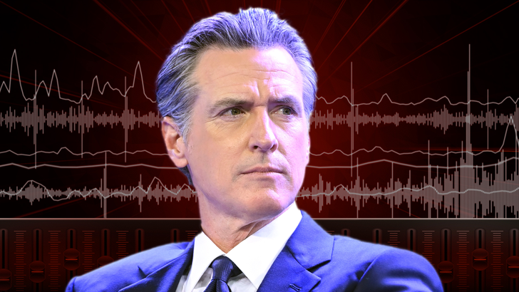 Entertainment 1024-gavin-newsom-TMZ-AUDIO-ART-DESKTOP-1