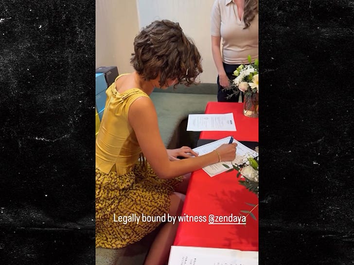 031426_zendaya_witness_primary