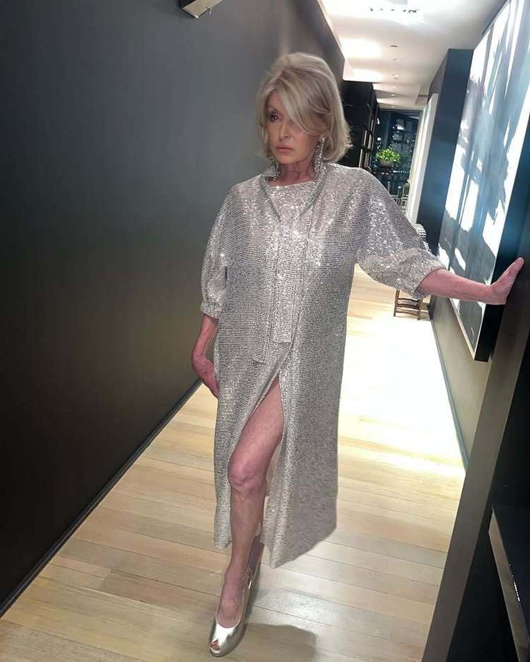 Martha Stewart Hot Shots 7