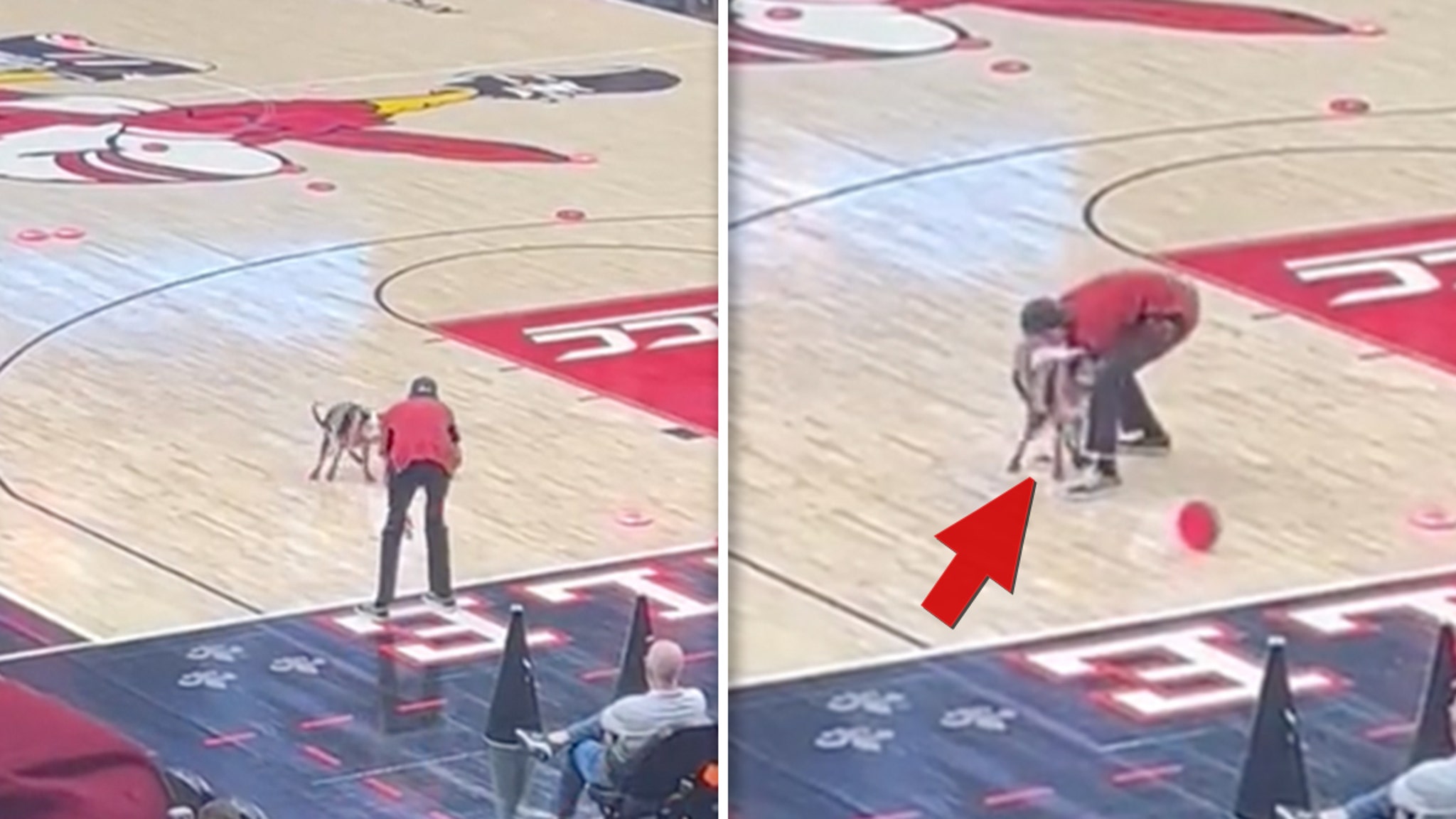 WATCH: Dog poops on court at Louisville basketball halftime show