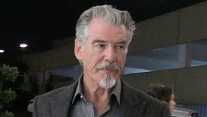 Pierce Brosnan's Home Burglarized By Man Who Pooped, Peed In Neighbor's Yard, Cops Say
