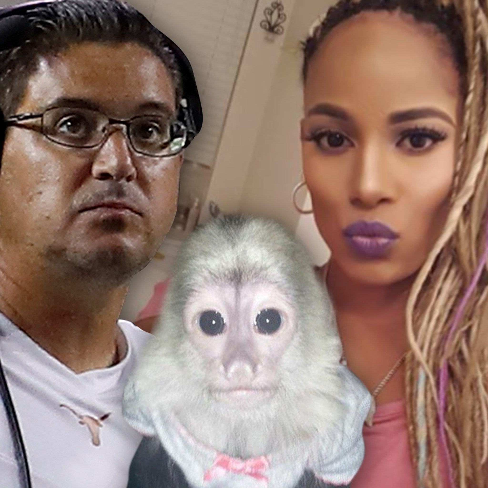 Where Can I Buy A Monkey In Texas 71 - h5hmdhu