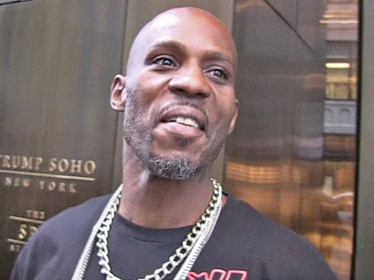 1130-DMX-tmz