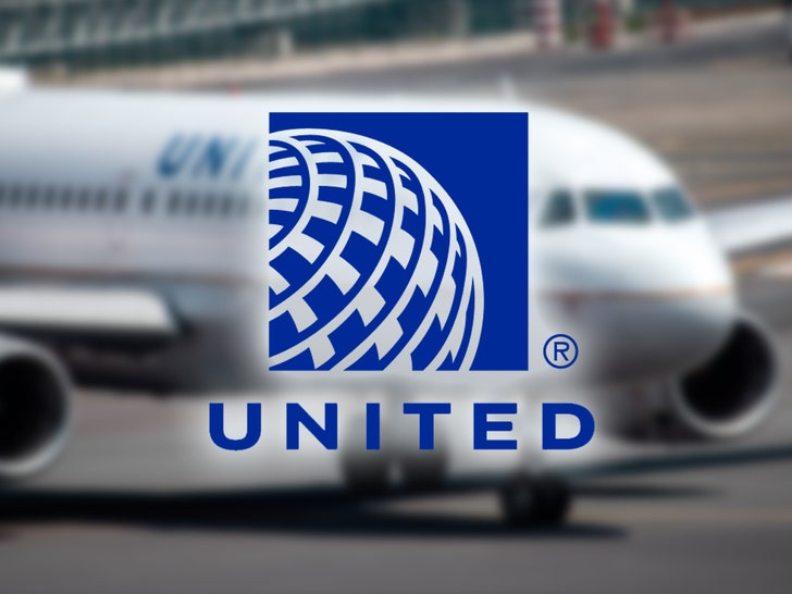 download united airlines app during flight