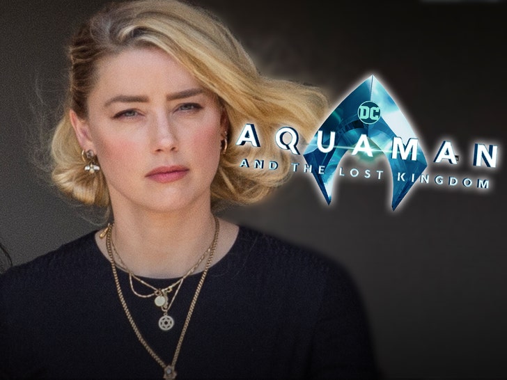 Amber Heard, 'Aquaman 2'den Kaldırıldığını Yalanladı