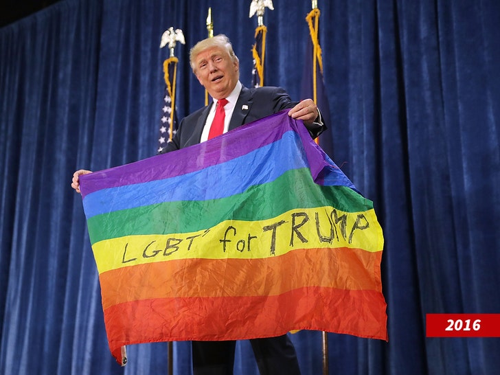 bandera del orgullo de donald trump