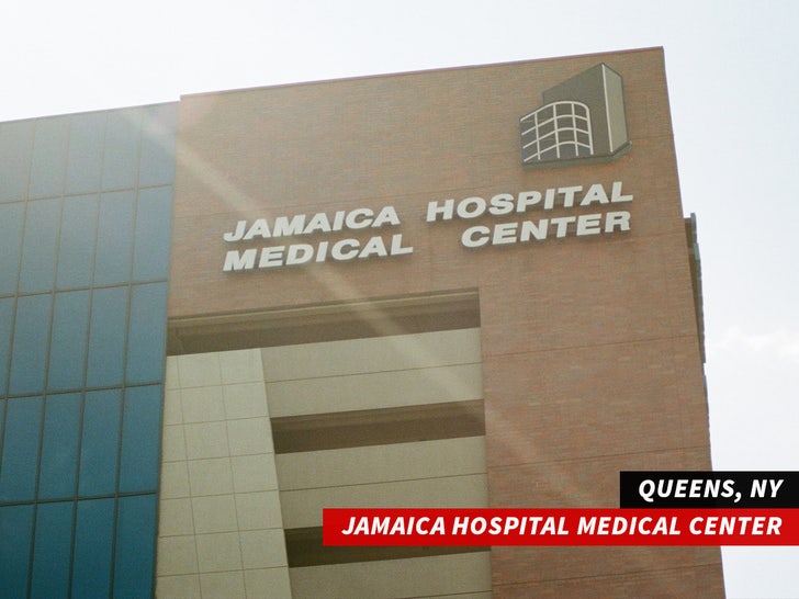 jamaica hospital medical center
