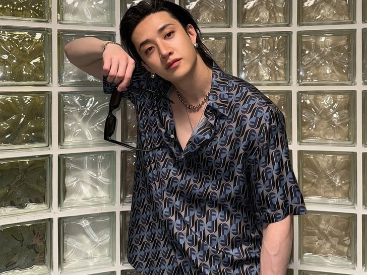 Bang Chan Social Shots