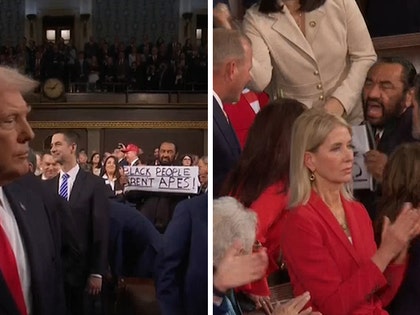 al-green-primary-02-24-2026