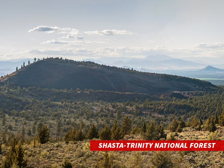 sub-Shasta-Trinity-National-Forest-getty-1