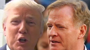 Donald Trump Slams Goodell's NFL Apology, 'Nobody Was Even Asking For It'
