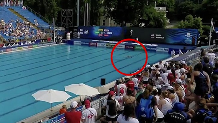 Artistic Swimmer Terrifyingly Faints In Pool During Event