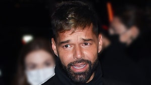 Ricky Martin Files $20 Million Lawsuit Against Nephew Who Accused Him of Sexual Abuse