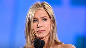 Jennifer Aniston Slams J.D. Vance for 'Cat Lady' Insult