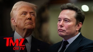 trump-elon