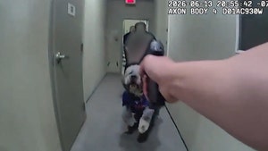 lapd-dog-shooting-primary-06-19-2026
