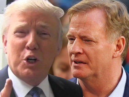 0618 donald trump roger goodell tmz getty