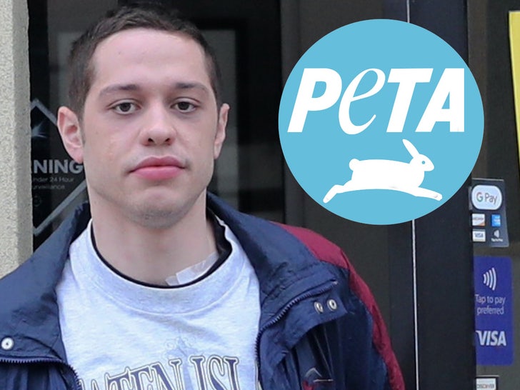 Pete Davidson, Yeni Köpeği Sahiplenmeyerek PETA'yı Hayal Kırıklığına Uğrattı