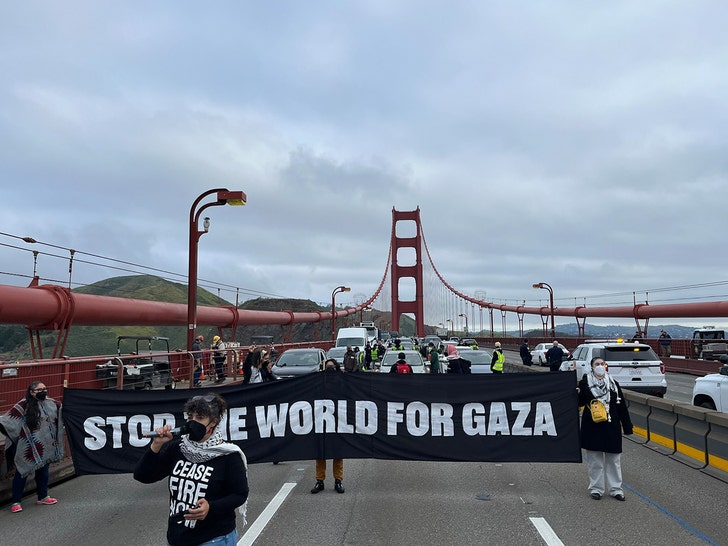 Artistes protesters shut down golden gate bridge