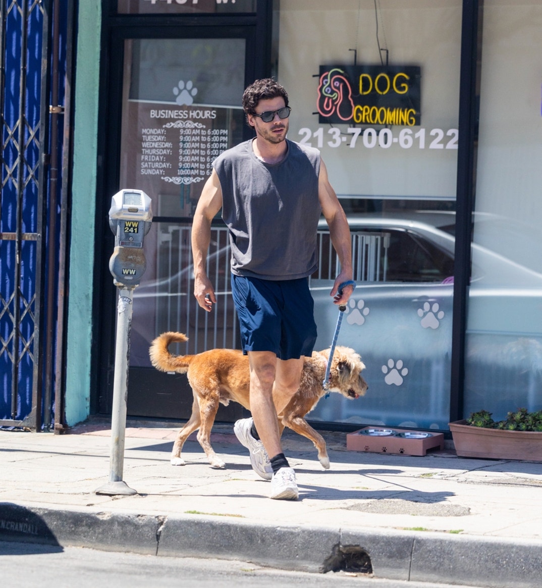 FranCois Arnaud Dog Walk 2