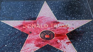 Trump's Hollywood WoF Star Won't Get More Protection After Vandalism Spree