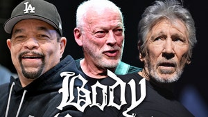 ice t david gilmour roger waters getty 1
