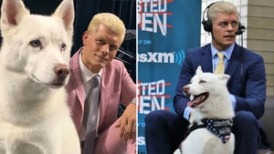 0908-Cody-Rhodes-Dog-PRIMARY