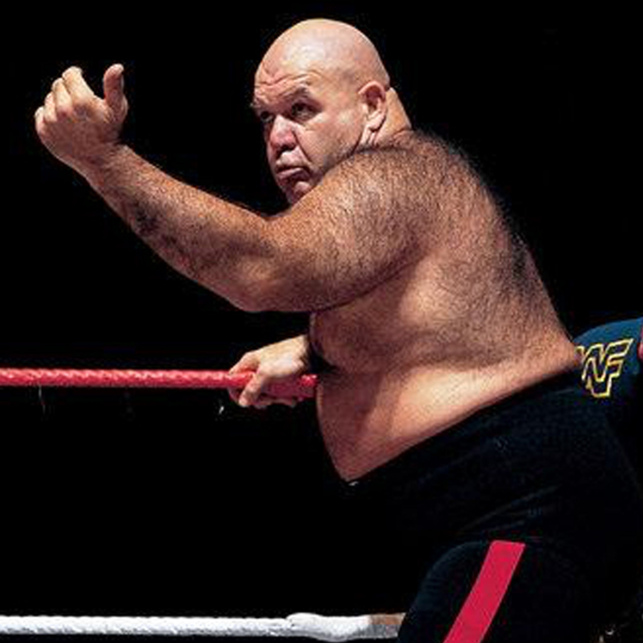 WWE Hall of Famer George 'The Animal' Steele Dead at 79