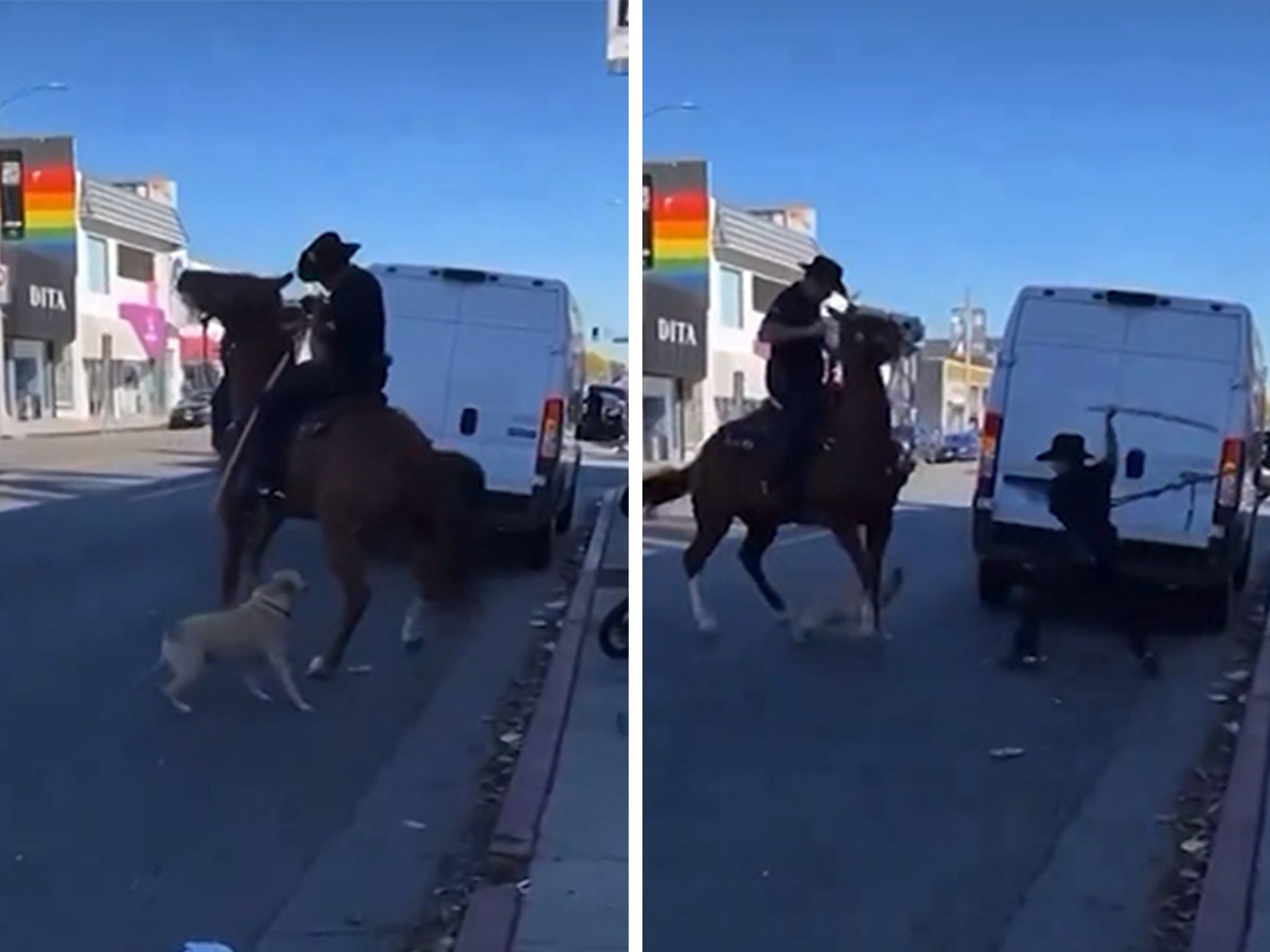 LAPD Officer Swings Baton at Unleashed Dog Over Police Horse Attack