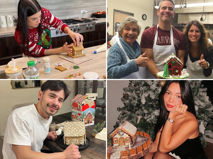 Celebrity Gingerbread Houses