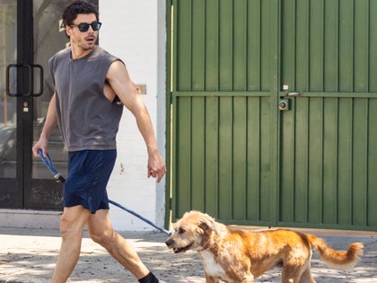 0602-François-Arnaud-Dog-Walk-PRIMARY