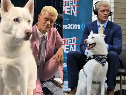 0908-Cody-Rhodes-Dog-PRIMARY