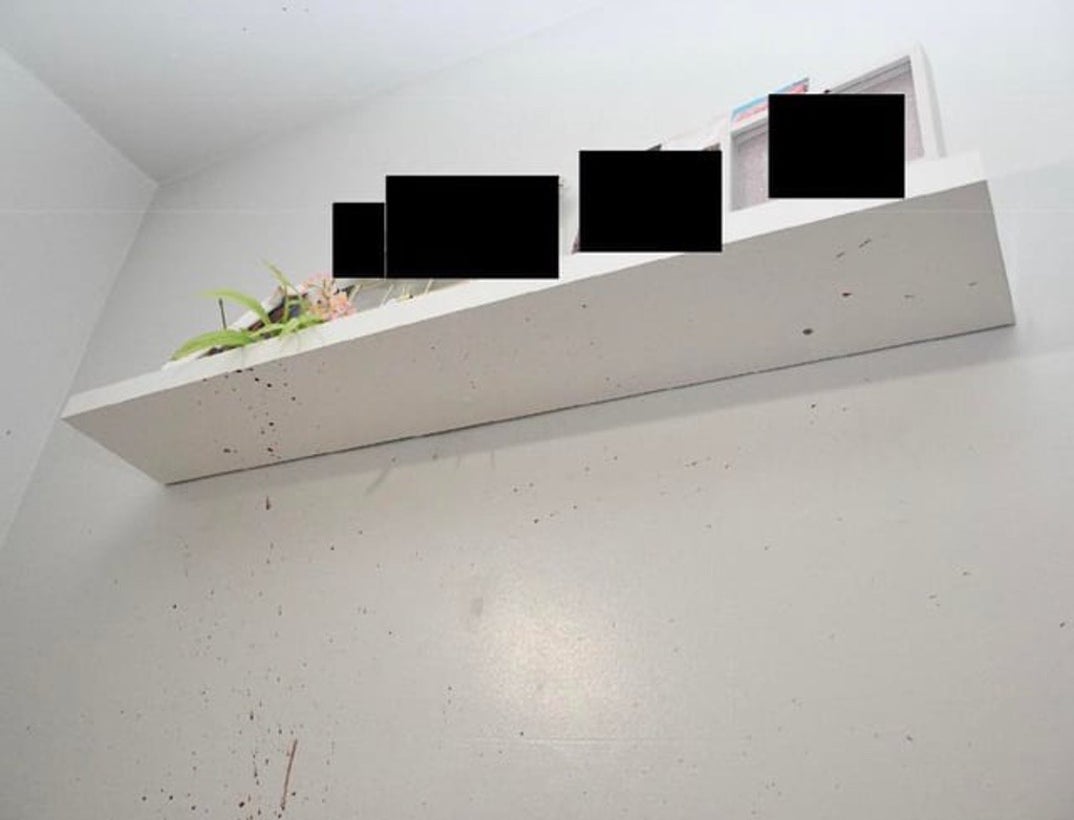 More Kohberger Idaho Murder House Scene Pics 15