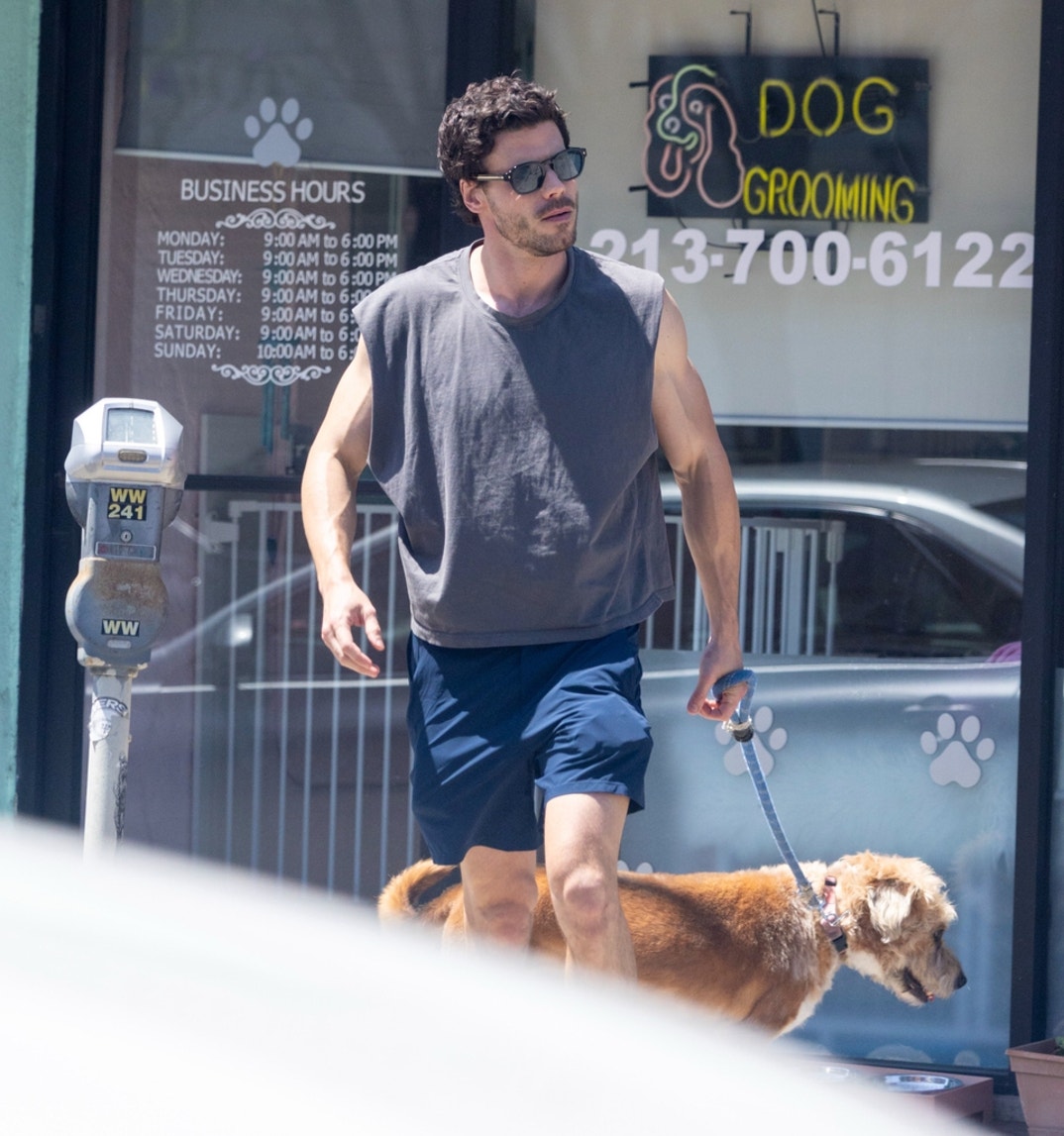 FranCois Arnaud Dog Walk 3