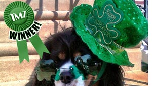TMZ's St. Paddy's Day Picture Contest -- WINNER!