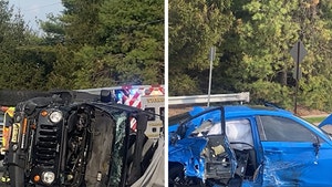 dianna-russini-primary