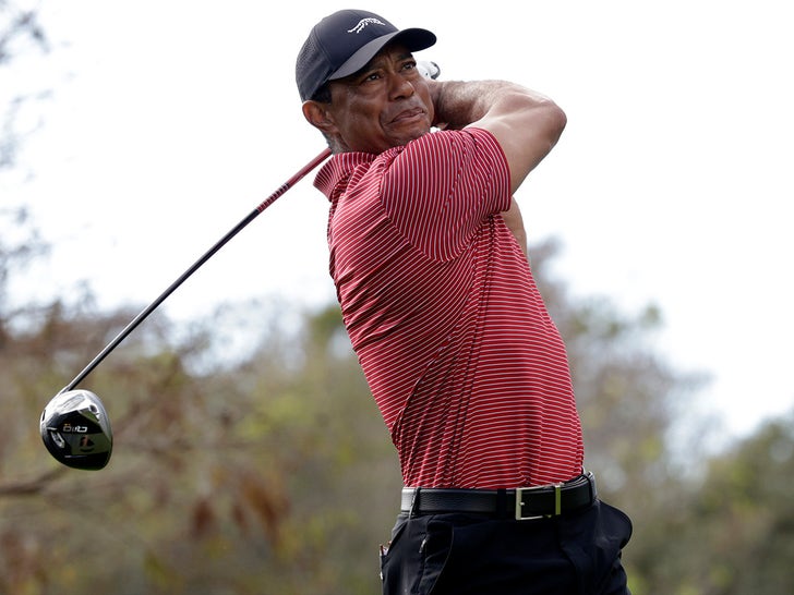 Tiger Woods Swingin' Shots