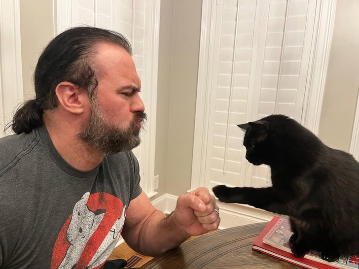 Drew McIntyre Posts Remembering Gallery For His Cat