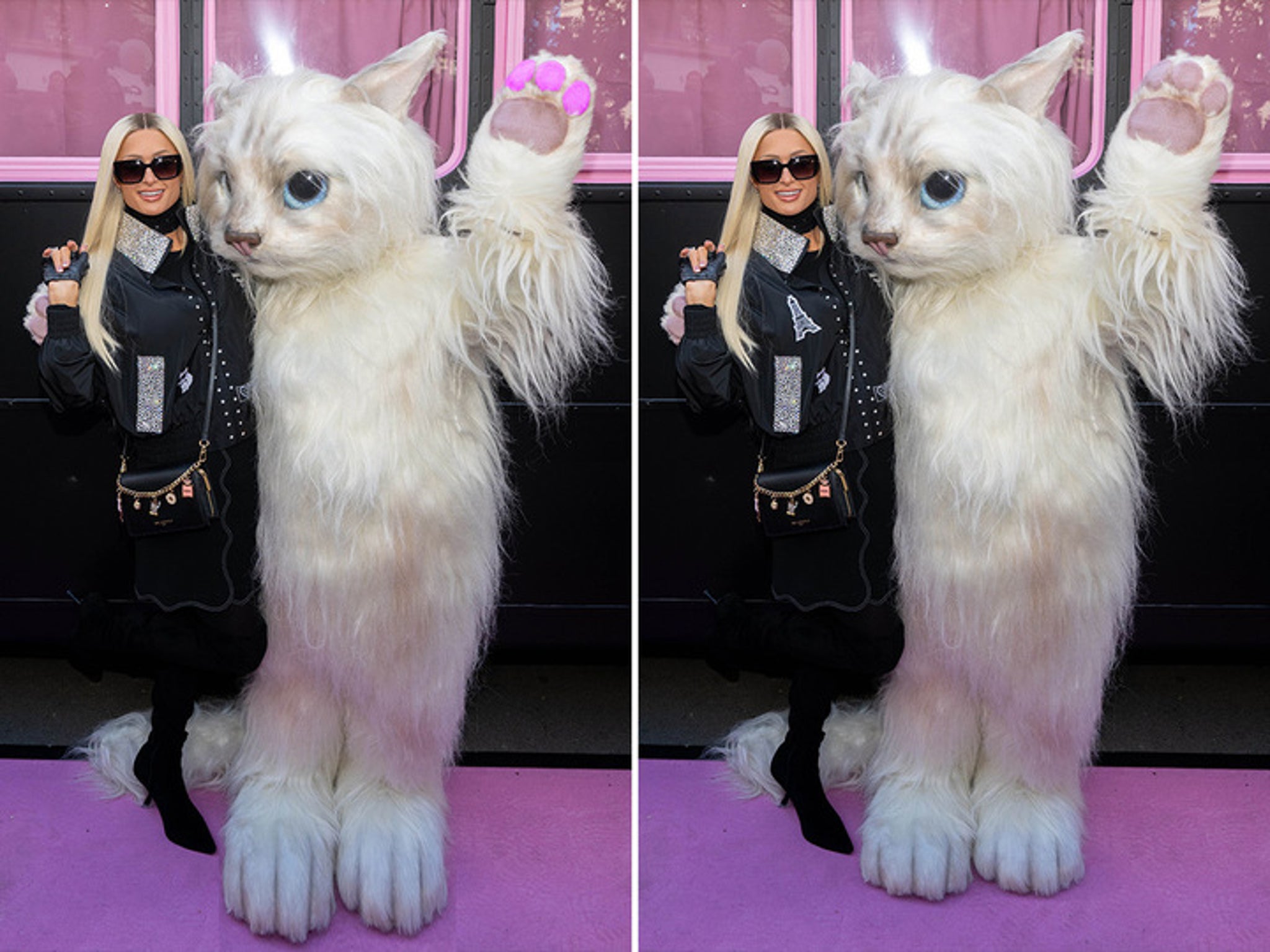 Paris Hilton's Pussycat Pic -- What's The Big Frigin' Difference?!