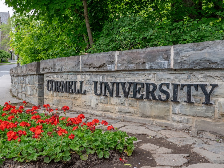 Cornell University getty 2