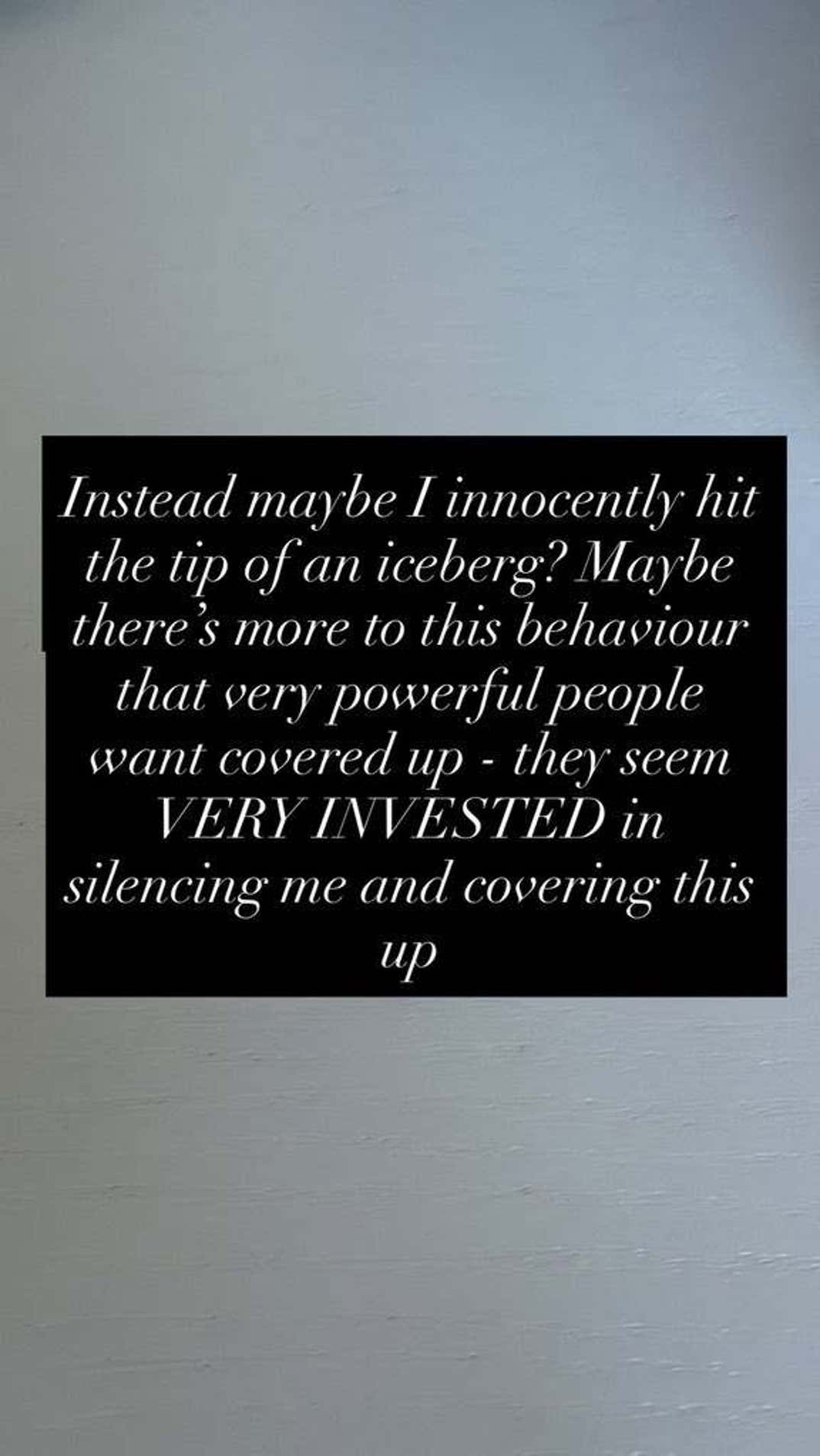 Rebel Wilson Trashes Billionaires On Instagram Stories 21