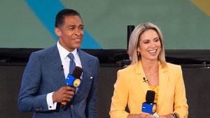 T.J. Holmes, Amy Robach Lawyer Up Against ABC, Case Could Become Racial